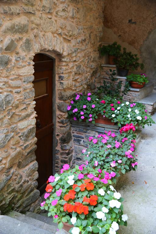 La Meridiana Casale Піньоне Номер фото